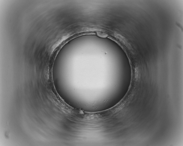 X0000103261165200808291211