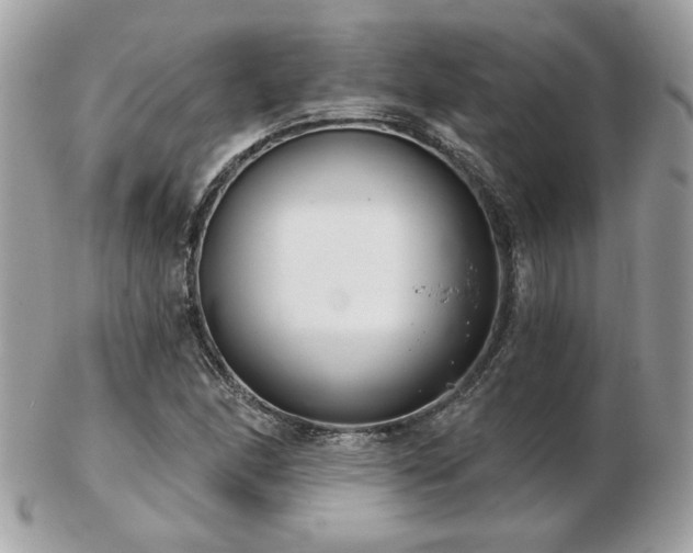 X0000103261166200808291211