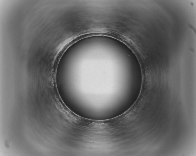 X0000103261168200808291211