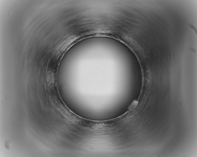 X0000103261169200808291211