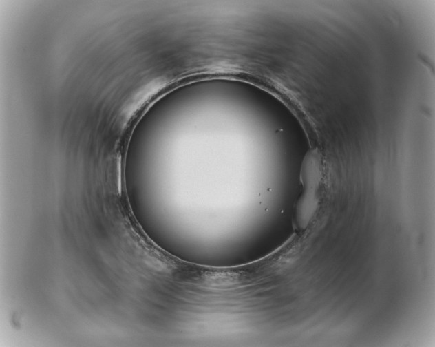 X0000103261171200808291211