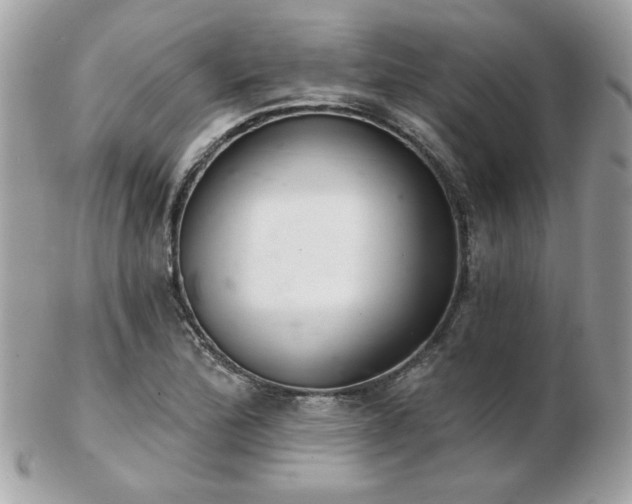 X0000103261172200808291211