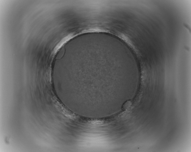 X0000103261173200808291211