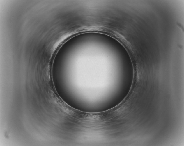 X0000103261174200808291211