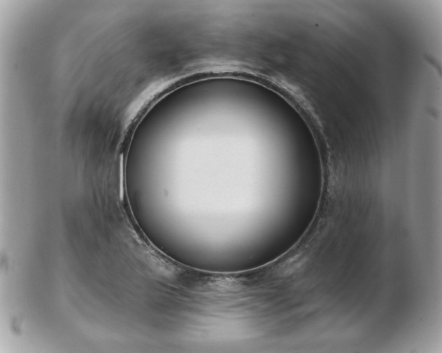 X0000103261175200808291211