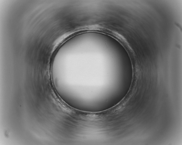 X0000103261176200808291211