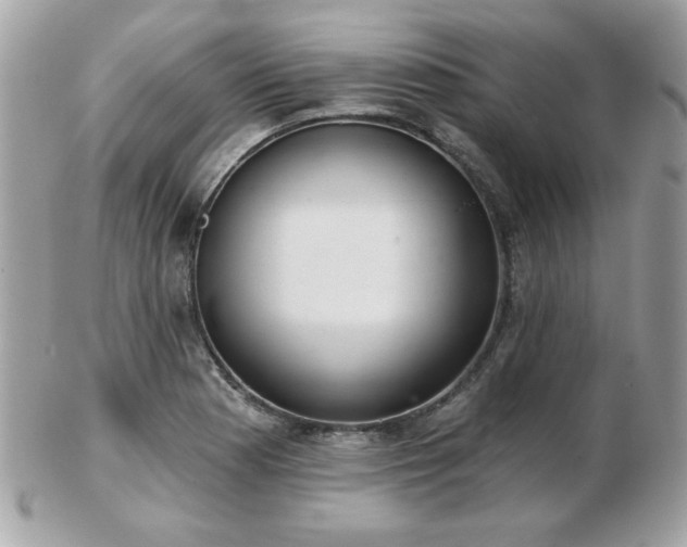 X0000103261177200808291211