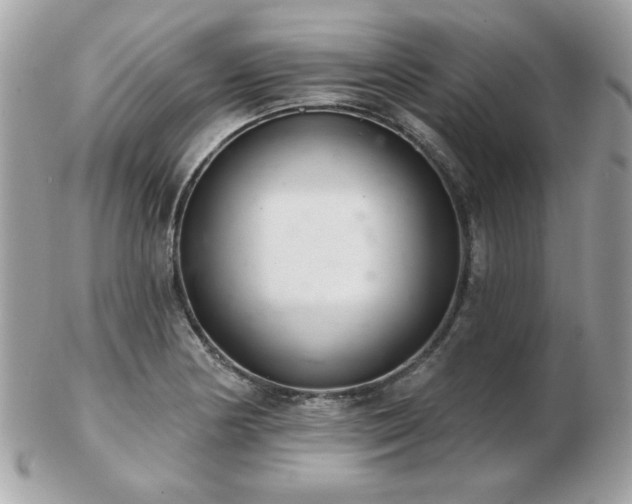 X0000103261178200808291211