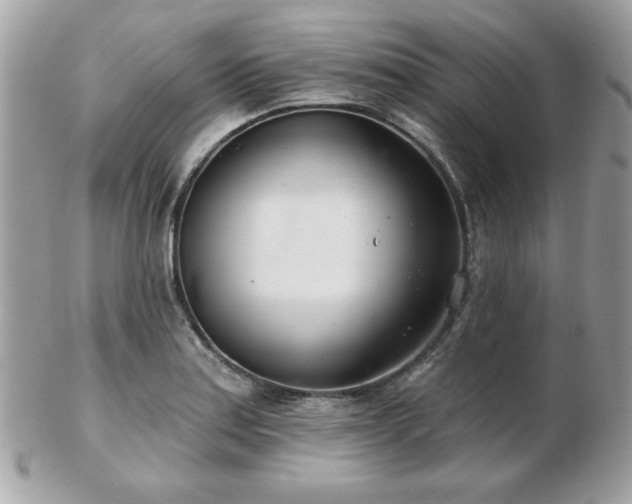 X0000103261179200808291211