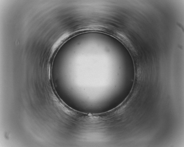 X0000103261180200808291211