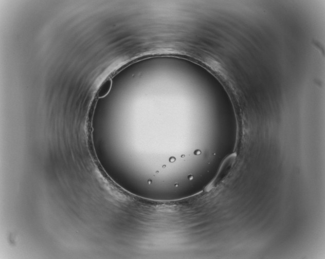 X0000103261181200808291211