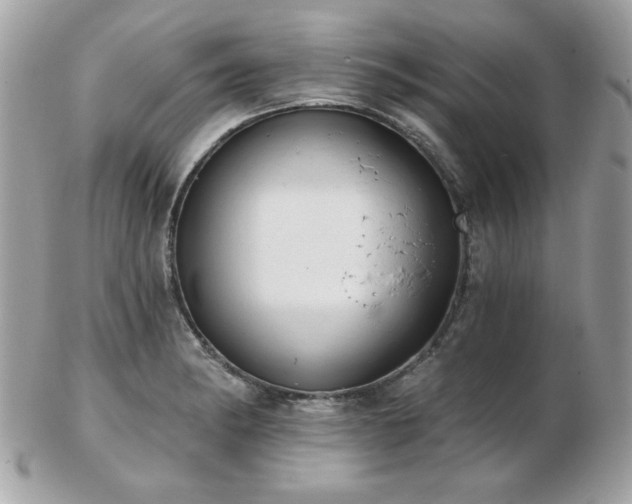 X0000103261182200808291211