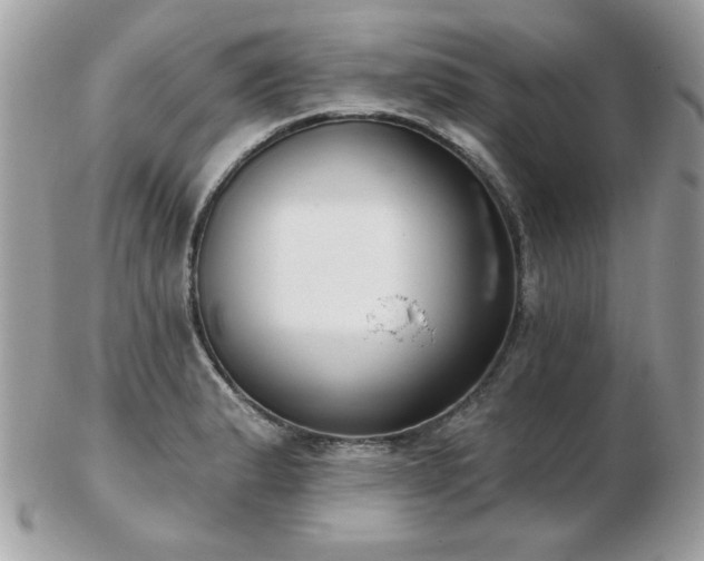 X0000103261183200808291211