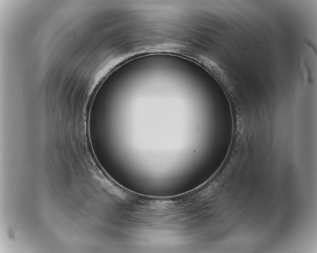 X0000103261184200808291211