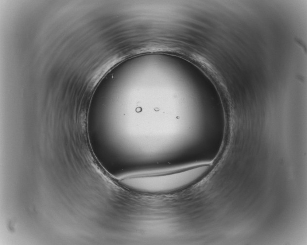 X0000103261185200808291211