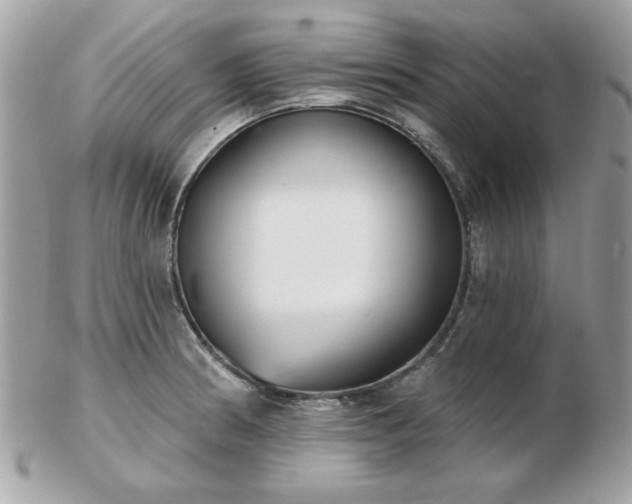 X0000103261186200808291211