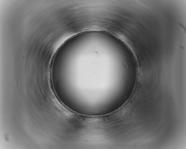 X0000103261187200808291211