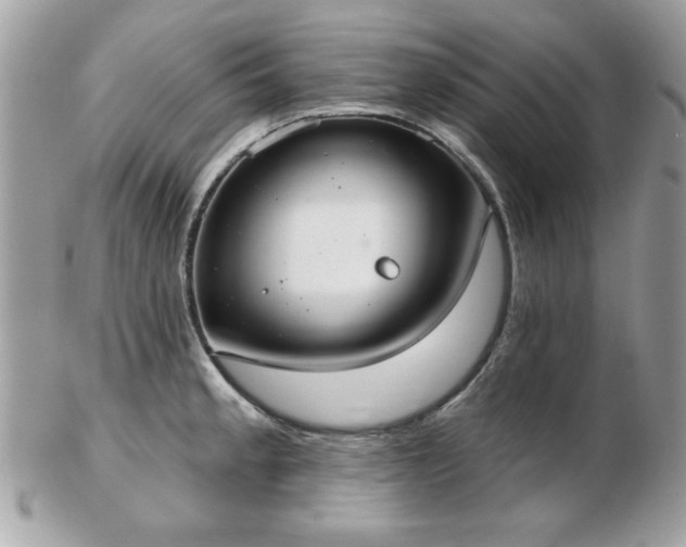 X0000103261189200808291211