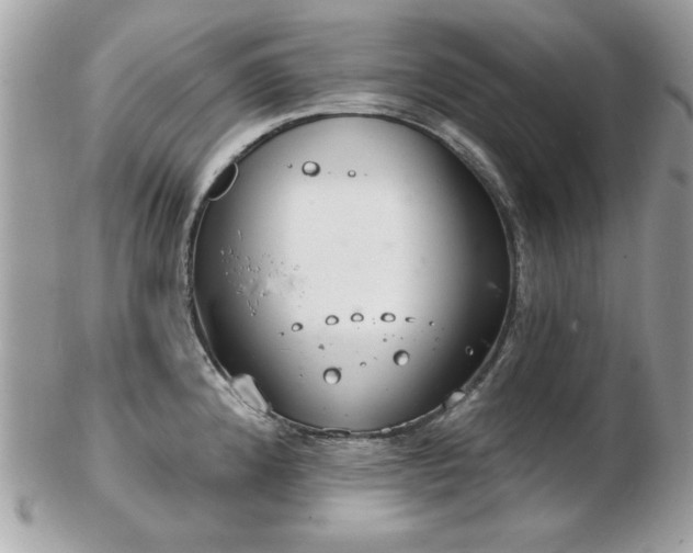 X0000103261192200808291211