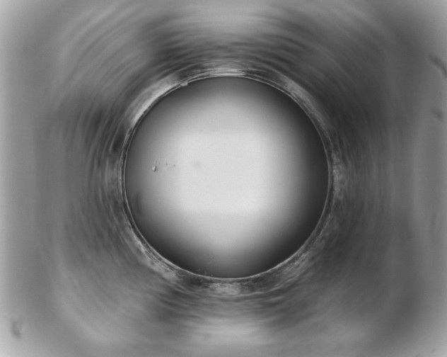 X0000103261194200808291211