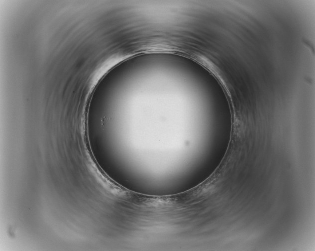 X0000103261195200808291211