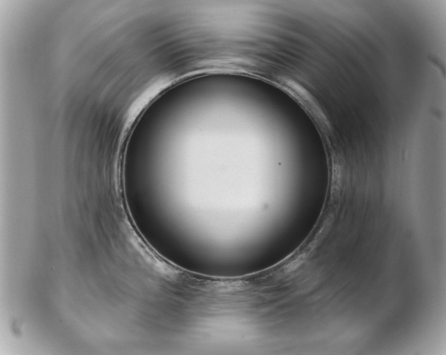 X0000103261196200808291211