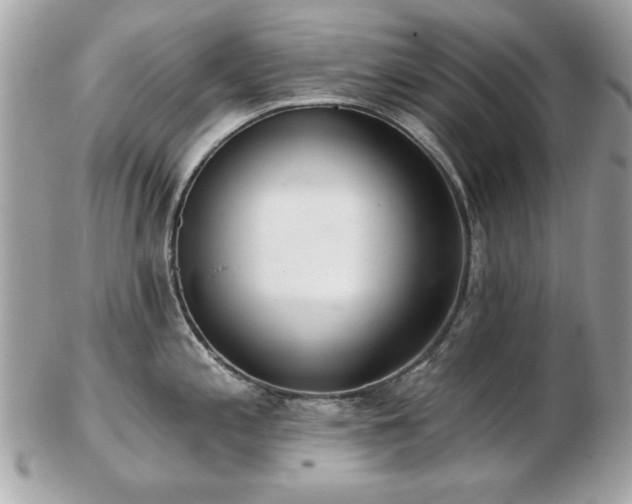 X0000103261197200808291211