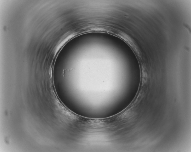 X0000103261198200808291211