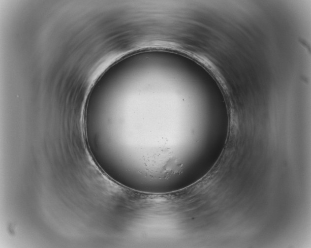 X0000103261199200808291211