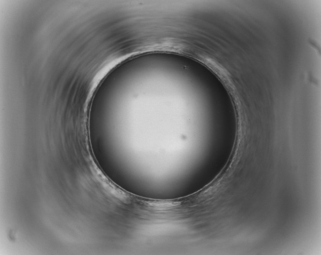 X0000103261200200808291211