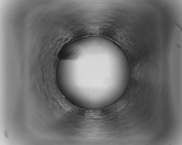 X0000103261201200808291210