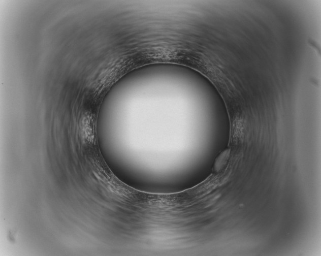 X0000103261202200808291210