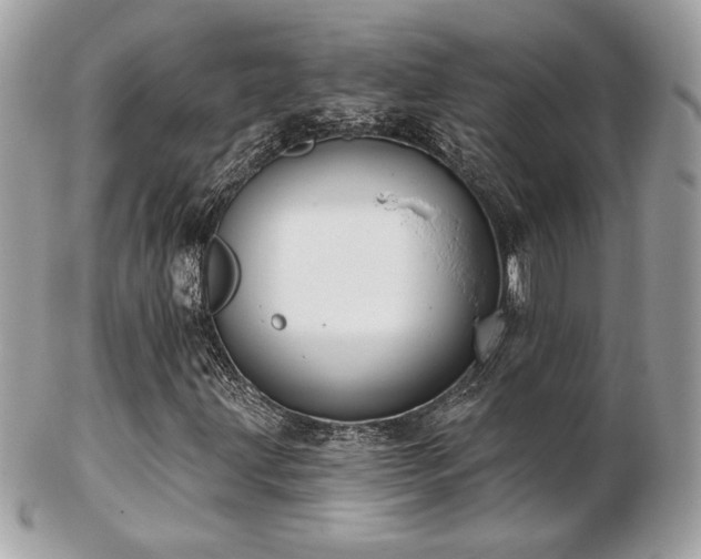 X0000103261203200808291210