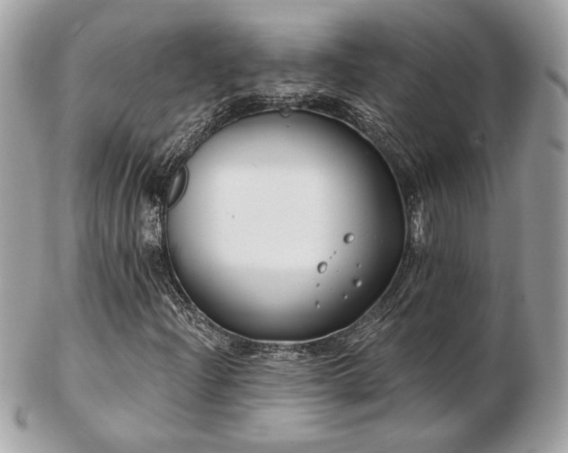 X0000103261204200808291210