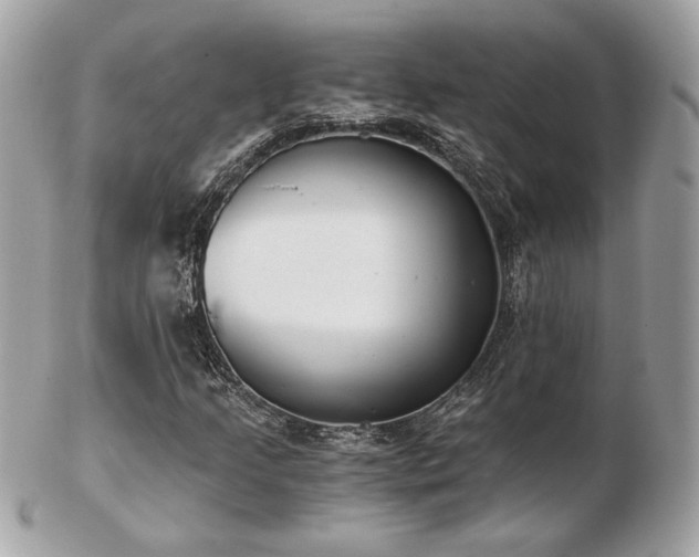 X0000103261205200808291210