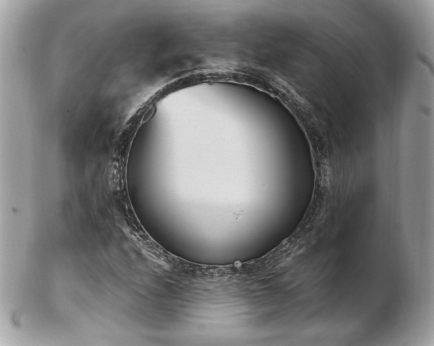 X0000103261208200808291210