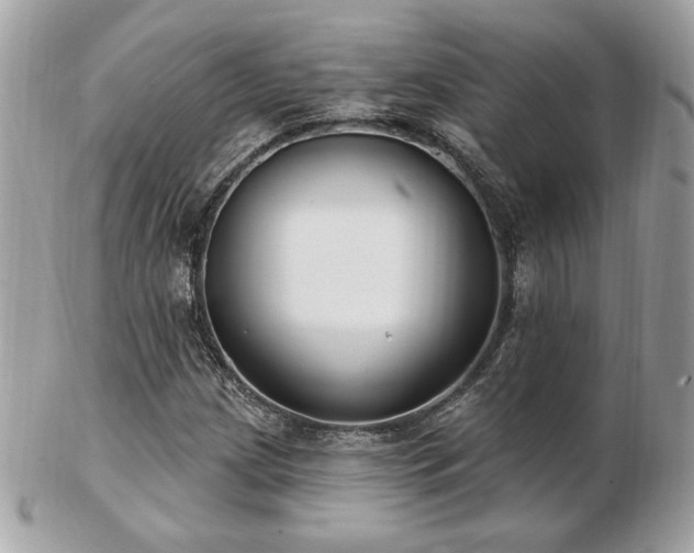 X0000103261209200808291210