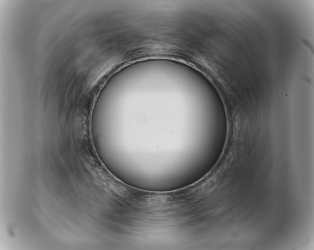 X0000103261211200808291210