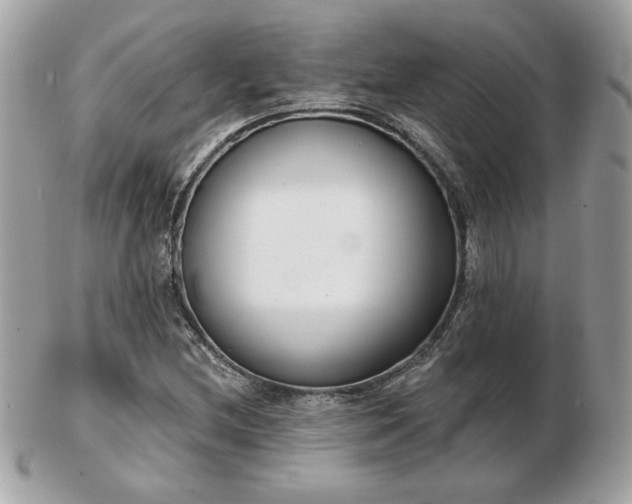 X0000103261212200808291210