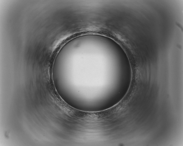 X0000103261214200808291210