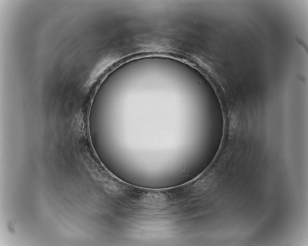 X0000103261215200808291210