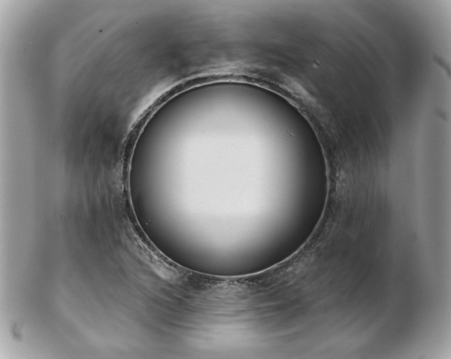 X0000103261216200808291210