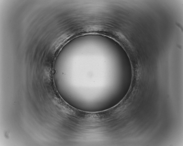 X0000103261217200808291210