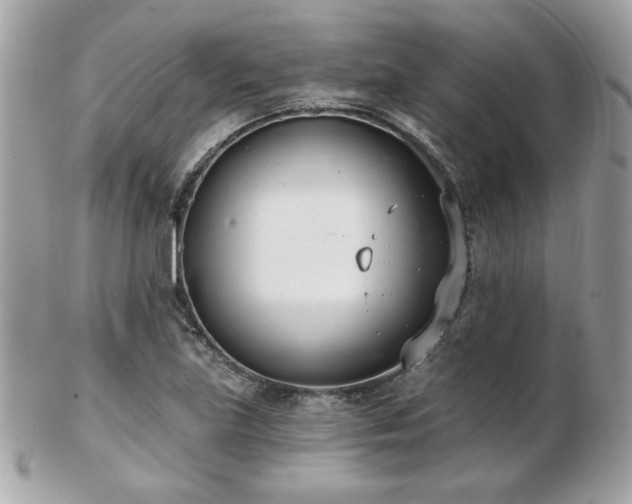 X0000103261219200808291210