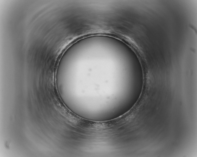 X0000103261220200808291210