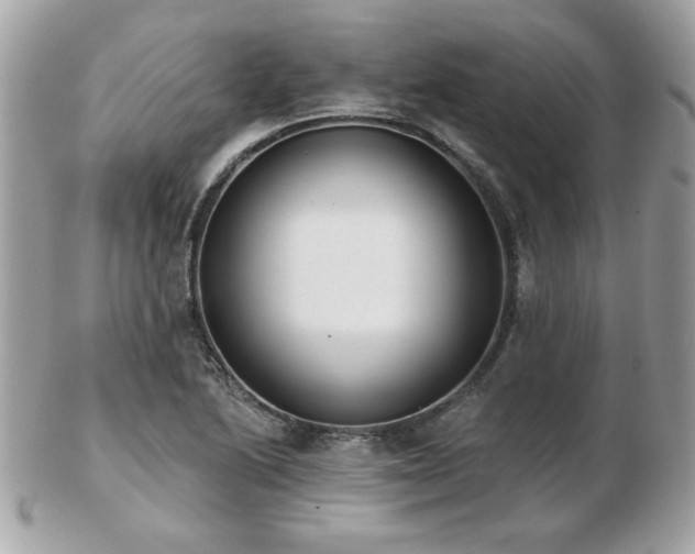 X0000103261222200808291210