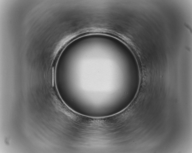 X0000103261223200808291210