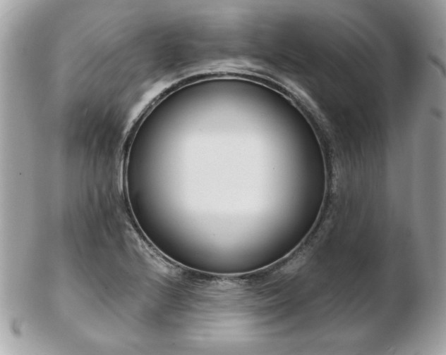 X0000103261224200808291210