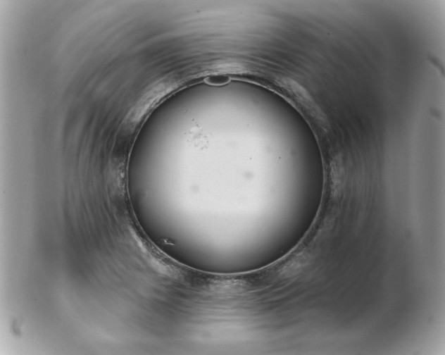 X0000103261225200808291210