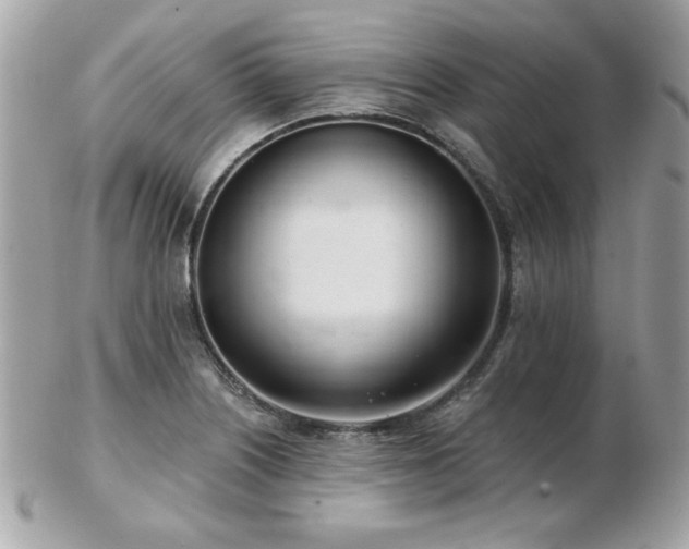 X0000103261226200808291210